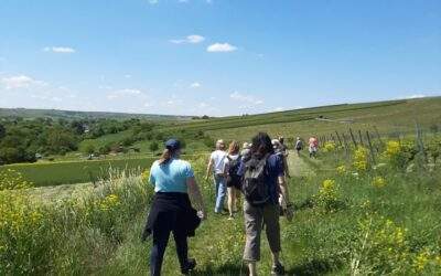 Bildungsurlaub: Fit und vital durchs Leben Mo 10.08.2026 – Fr 14.08.2026 und 	Mo 05.10.2026 – Fr 09.10.2026 sowie